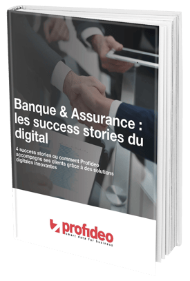 eBook-succes-stories-profideo